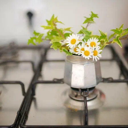 Otium 住宿加早餐酒店 庞贝