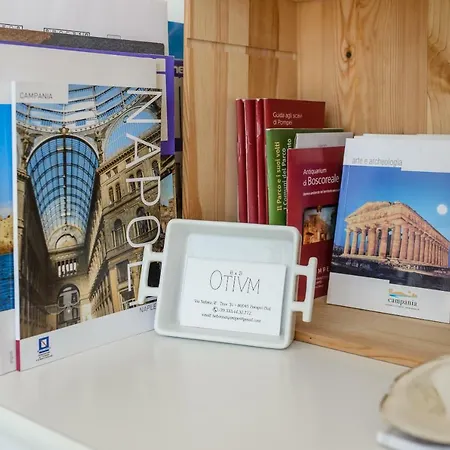 住宿加早餐酒店 Otium 3*